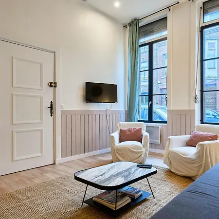 Old Lille: Charming Renovated Appartement Rijsel